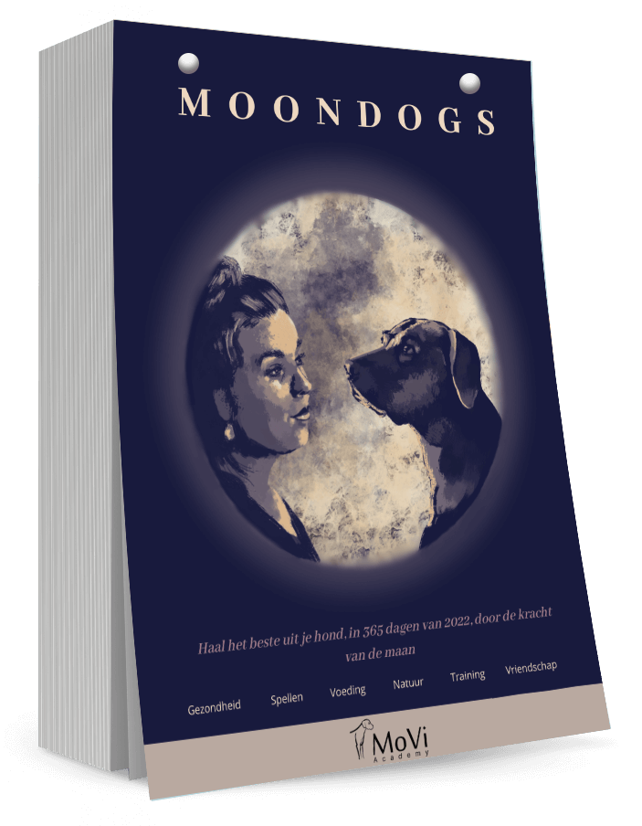 De voorkant van de Moondogs kalender